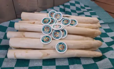 193703Eb 21B5 4Fe2 B32e 13E2a82cbc98