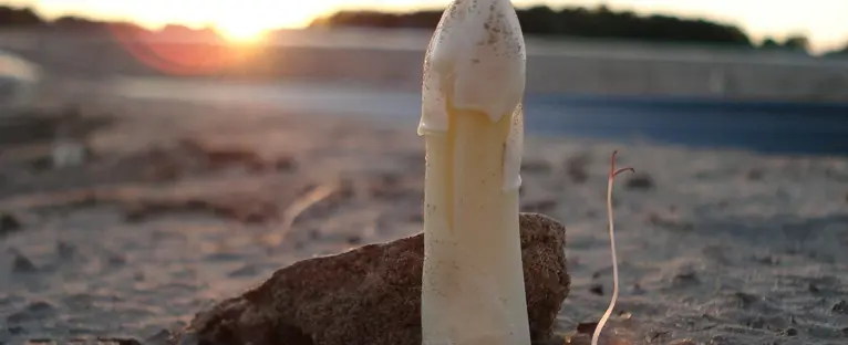 Asparagus 15374 1280